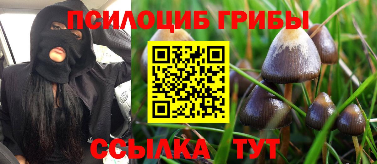 Псилоцибиновые грибы Psilocybe Ревда