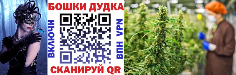 Бошки Шишки план  ссылка на мегу зеркало  Ревда 